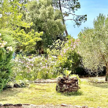 Majestic In With Garden Villa *